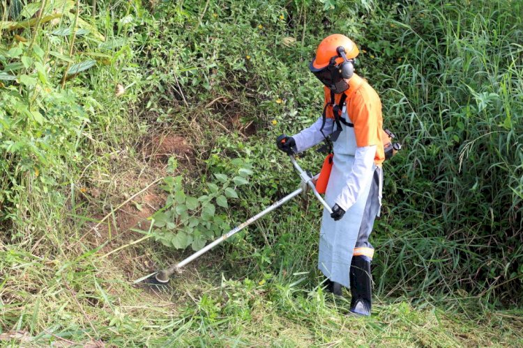 Limpeza de terrenos baldios em Criciúma estão sendo executados pela prefeitura