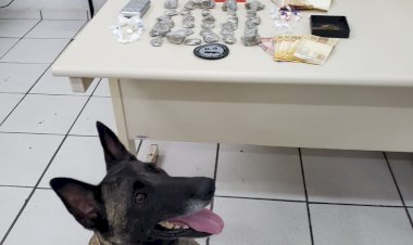 Polícia Civil apreende  drogas e menor  no Bairro Paraíso