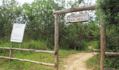 Movimento “Salve o Morro do Céu” realiza ato no Dia Mundial da Água em Criciúma