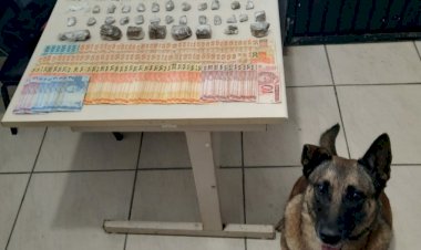 Galo é preso no Paraíso com drogas, ecstasy e dinheiro