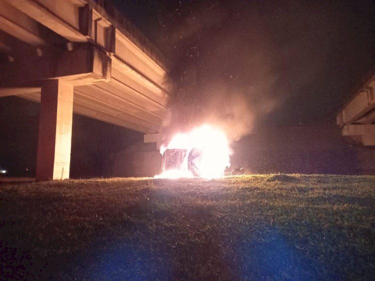 Veículo pega fogo após cair de viaduto