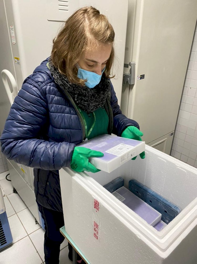 Criciúma inicia aplicação da 2ª dose da Pfizer e 1ª dose em pessoas acima de 25 anos