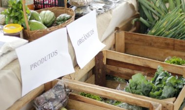 Feira da Agricultura Familiar será realizada nesta quinta no Estádio Heriberto Hülse