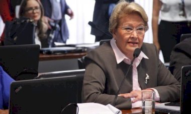 A experiência de Ana Amélia Lemos no EcoCria Talks