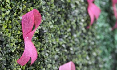 Unesc veste rosa e promove um outubro de muita informação