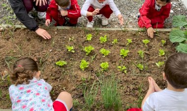 Hortas da Afasc envolvem as crianças e estimulam o consumo de hortifrutis