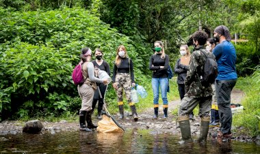 A zoologia posta em prática em ação da Unesc