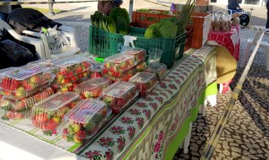 Feira da Agricultura Familiar será realizada nesta quinta-feira no pátio do Estádio Heriberto Hülse