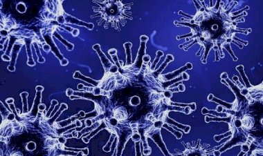 Homem com Covid-19 que descumpriu medida de isolamento social é condenado no sul de SC