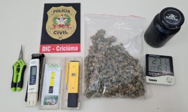 DIC Prende Estudante Universitário que produzia Maconha de Alta Qualidade na Própria Casa