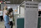 Exposição do Museu da Infância Unesc promove reflexões sobre escola e brincadeiras
