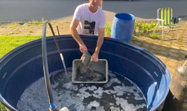 Continua a Feira do Peixe Vivo nesta sexta-feira em Içara