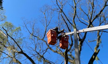 Com alerta de frio e ventos intensos, Governo de Criciúma delibera ações preventivas