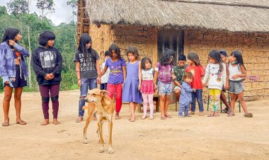 Projeto da Unesc, Kiarroz contribui com alimentos para aldeia indígena