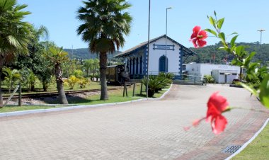 Festival Solidário terá presença de entidades do terceiro setor