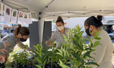 Governo de Cocal do Sul promove ações para a Semana do Meio Ambiente