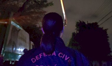 Árvore cai encima de caminhão e deixa moradores sem energia