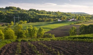 Carbonífera indenizará donos de terras por secar açude e poço artesiano no sul de SC