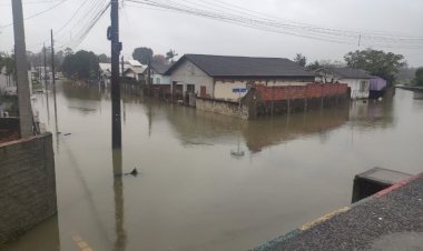 Chuva causa inundações de residências e cachorro morre afogado
