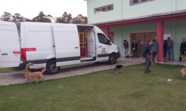 Mutirão de castração nos bairros já atendeu mais de 300 animais em Criciúma