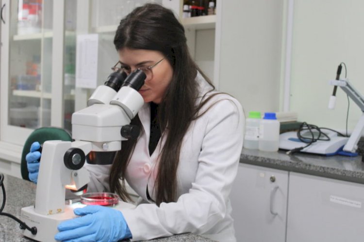 Programa de Pós-graduação em Ciências da Saúde da Unesc recebe nota máxima em avaliação nacional