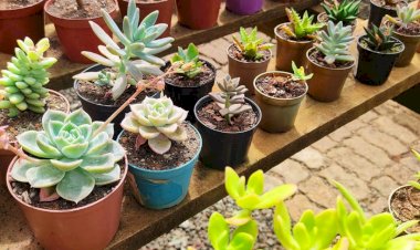 Qualificação profissional é proporcionada para jovens e adolescentes em privação e restrição de liberdade em Criciúma