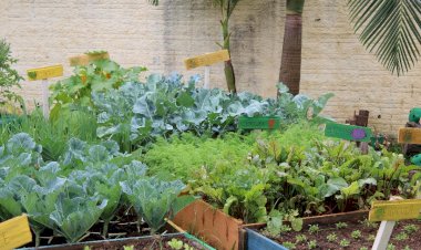 Entrega de premiação marca o encerramento do 2º Concurso de Sustentabilidade – Hortas