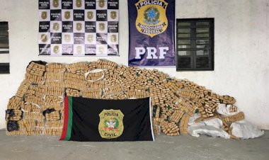Quatro anos da primeira tonelada de maconha apreendida pela Polícia Civil de Criciúma