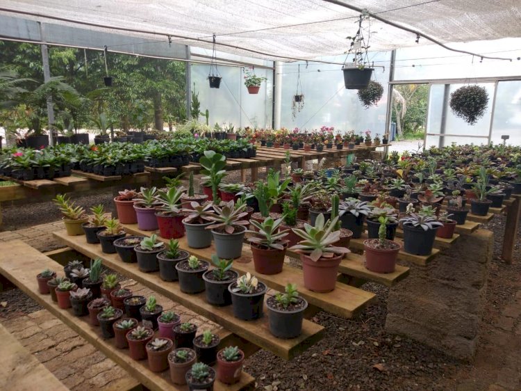 Horto Florestal fortalece o contato com a natureza em Criciúma