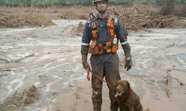 BBM se despede da Mel, cão de busca aposentada em Araranguá