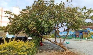 PROFESSOR SUSPEITO DE ENALTECER O MASSACRE DE CRIANÇAS OCORRIDO NA CIDADE DE BLUMENAU É AFASTADO