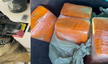 Polícia Civil prende homem com mais de 3,5 kg de Maconha em Criciúma