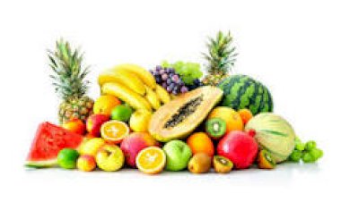 Criciúma sedia a 6ª edição da Conferência Municipal de Segurança Alimentar e Nutricional