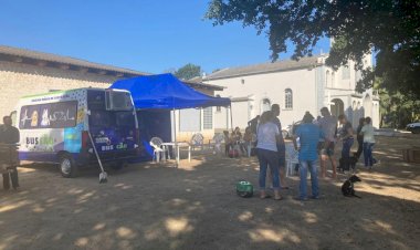 BusCão castra 39 animais no bairro Ronco D’Água