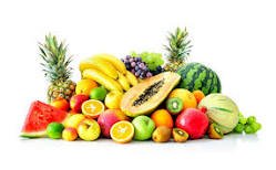 Criciúma sedia a 6ª edição da Conferência Municipal de Segurança Alimentar e Nutricional