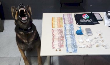 Polícia apreende drogas no bairro Renascer