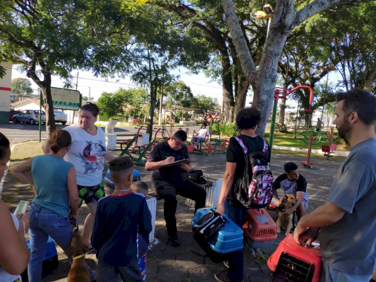 Projeto “Castração é a Solução” estima castrar mais de 6 mil animais por ano em Criciúma
