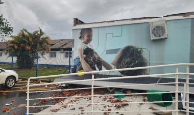 Prefeitura de Criciúma mobiliza força-tarefa após temporal