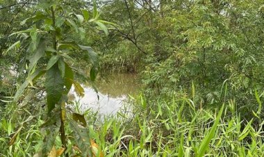 Cadáver é encontrado no Verdinho