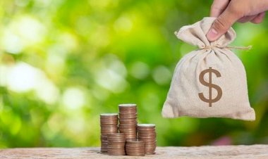 Conluio entre público e privado gera danos ao erário e condena gestores e empresários