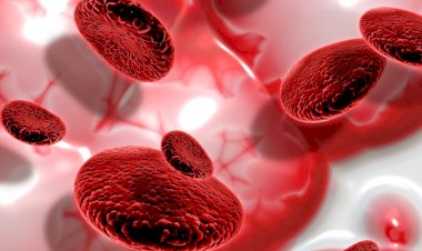 Doação de medula óssea é esperança para muitos pacientes com leucemia