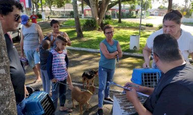“Castração é a Solução”: Prefeitura de Criciúma beneficia mais de 300 animais em dois meses