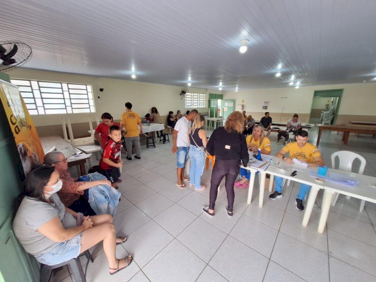 Mutirão da campanha Castração  beneficia 124 animais no B. Vila Francesa