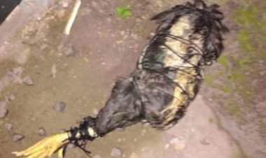 Mulher é indiciada por fazer “magia negra” com osso humano para atingir ex-companheiro