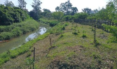 Lei que dispõe sobre o uso e ocupação das margens da bacia do Rio Criciúma é sancionada