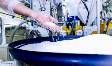 Canguru Embalagens busca profissionais para preencher mais de 30 vagas