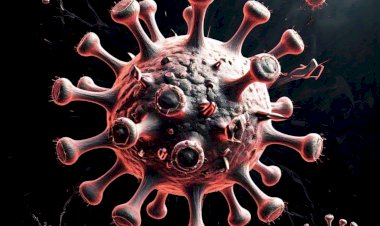 Viroses no verão: como o calor e a umidade potencializam a propagação de doenças