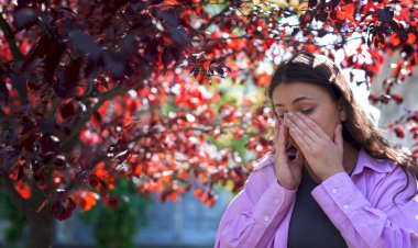 Entenda sobre alergias respiratórias comuns ao início do outono