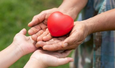 Hospital São José realiza a quinta captação de órgãos de 2025