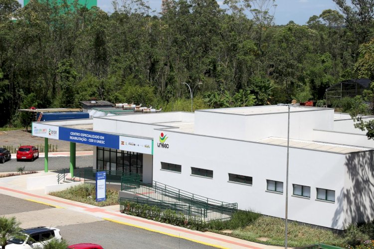 TEA: o caminho até o diagnóstico